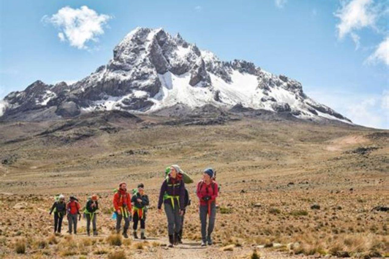 Nairobi: Mount Kenya Day Hike with Lunch