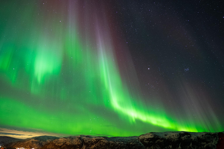 Tromsø: Nocturnal cod fishing with meal.