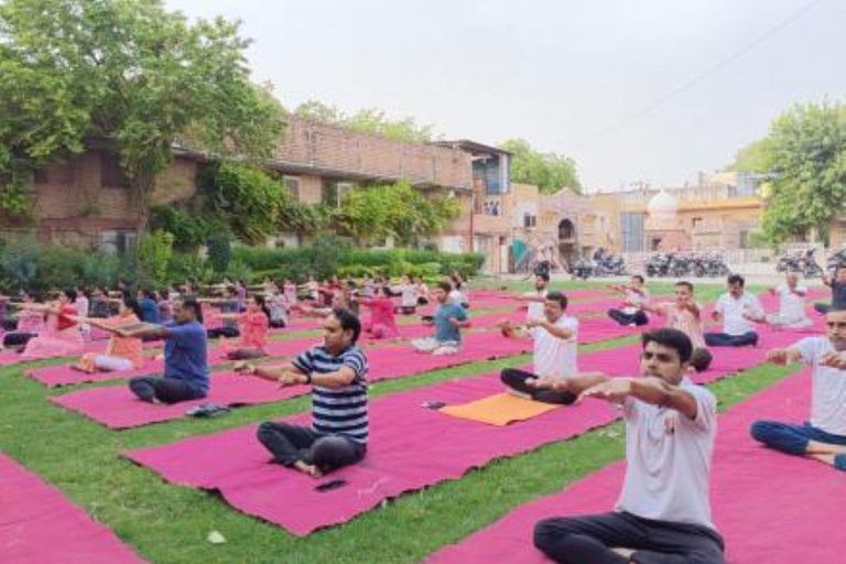 Jodhpur: Yoga Retreat with Workshops and Guide