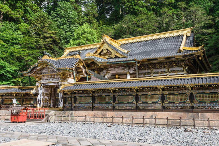 Tokyo: Nikko Luxury Private Day Tour with English guide