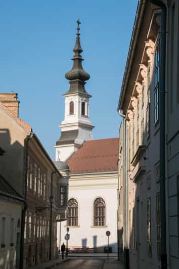 2 Hours Buda Castle Walking Tour - Walk with a Historian