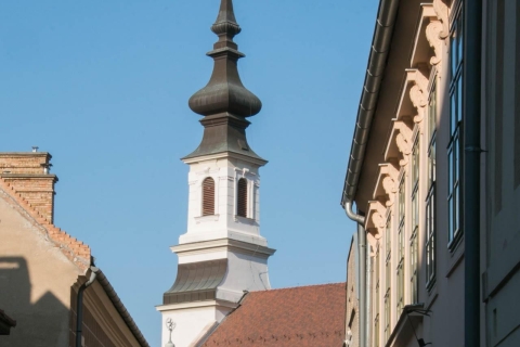 2-stündiger Rundgang durch die Budaer Burg - Spaziergang mit einem Historiker