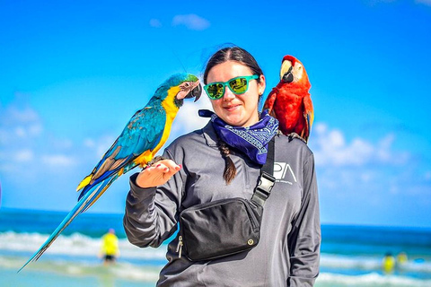 Punta Cana: ATV or Buggy Tour with Cenote and Beach Punta Cana: ATV or Buggy Tour with Cenote and Beach