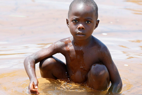 KIGOMA: Chimpanzees trekking Day Trip in Gombe national park Private Chimpanzee Trekking with Hotel Transfer and Lunch