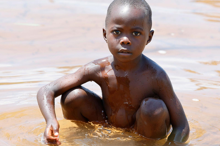 KIGOMA: Chimpanzees trekking Day Trip in Gombe national park Private Chimpanzee Trekking with Hotel Transfer and Lunch