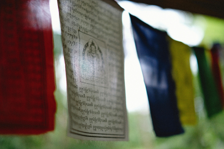 Shanghai: 10-Day Tibet Train Tour with Everest Base Camp