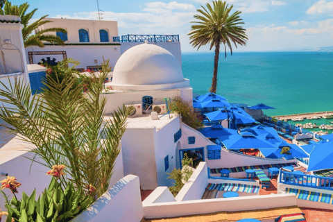 Tunis: An unforgettable day in Sidi Bou Said, Carthage, Bardo, and the Medina Private Tour with a Live Guide