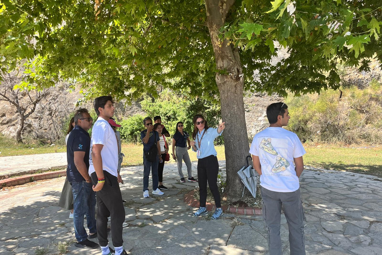 Tour em pequenos grupos em Éfeso para passageiros de cruzeiros