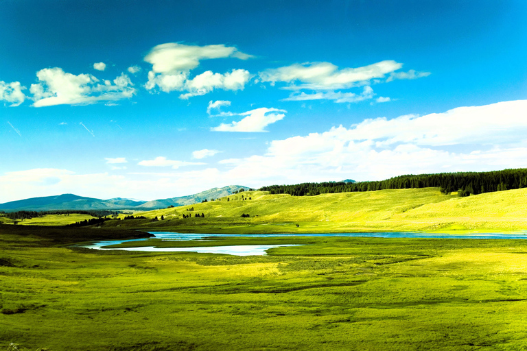 From Bozeman: Classic Yellowstone Tour (2 Days & 1 Night)