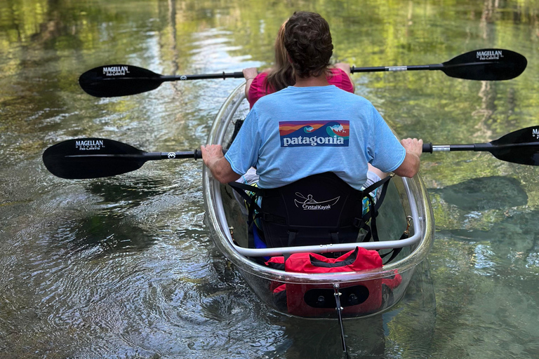 Gilchrist Blue: Clear Kayak Eco Tour