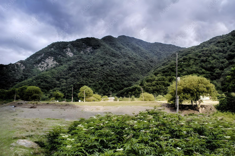 1-D zu den Nord-Sheki: Yayla, Oğuz, und Xal-Xal.