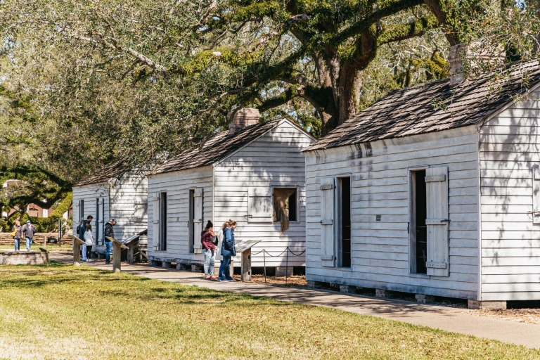 New Orleans: Oak Alley Plantation & Airboat Swamp Combo Tour Oak Alley Plantation and Small Airboat Combo Tour