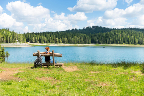 Kotor: Durmitor National Park & Tara Bridge Day Trip