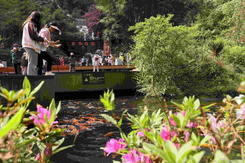 Zhangjiajie: Baofeng Lake, Forest Park & Valley Train Ticket Zhangjiajie: Baofeng Lake Ticket
