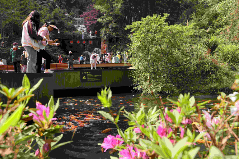 Zhangjiajie: Baofeng Lake, Forest Park & Valley Train Ticket Zhangjiajie: Baofeng Lake Ticket