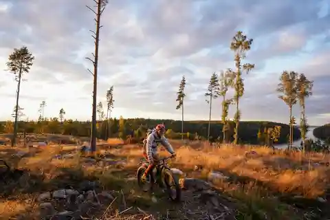 Stockholm: Fat Bike Forest Adventure with Lunch and Sauna