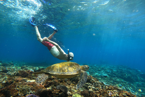 From Bali: Explore West Nusa Penida with Snorkeling From Bali: Nusa Penida West Highlights with Snorkeling