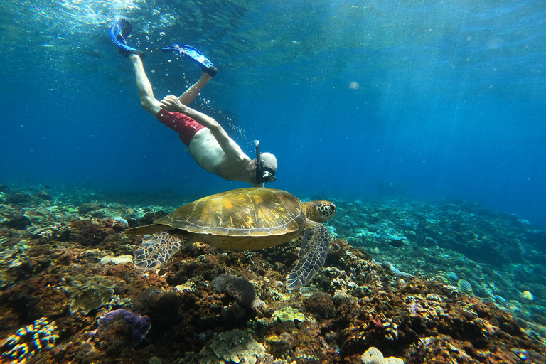 From Bali: Explore West Nusa Penida with Snorkeling From Bali: Nusa Penida West Highlights with Snorkeling