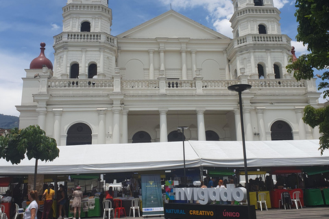 Medellin: Lyxig och privat stadsvandring på franska