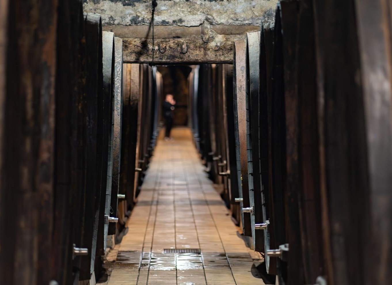 Maribor: Vinag Wine Cellar Tour med vinsmagning og snacks