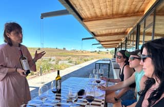 Ribera del Duero Tour: Von Madrid nach Ribera del Duero – inklusive Mittagessen