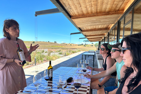 Ribera del Duero Sightseeing Tour: From Madrid to the Ribera del Duero - lunch included RIBERA DEL DUERO WITH FULL LUNCH INCLUDED