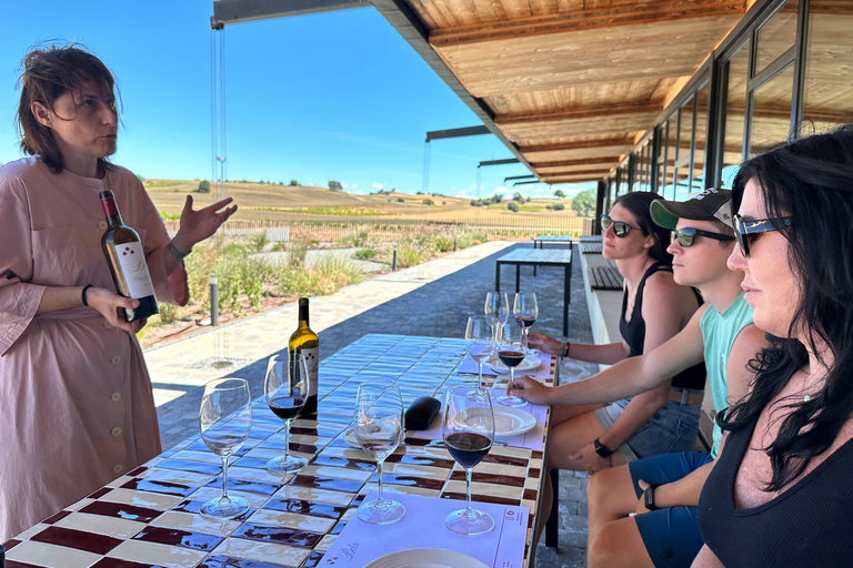 Ribera del Duero Sightseeing Tour: From Madrid to the Ribera del Duero - lunch included RIBERA DEL DUERO WITH FULL LUNCH INCLUDED