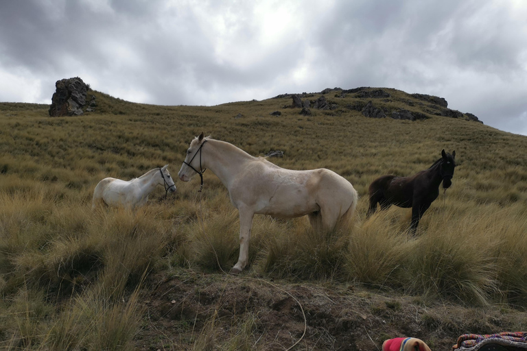 Cusco: Horseback Riding Tour to Inca Temples and Viewpoints