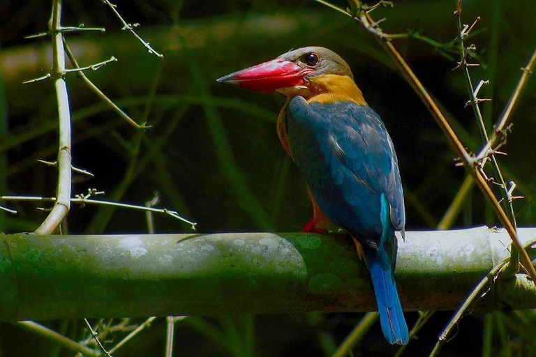 From Ho Chi Minh City: 2-Day Cat Tien National Park Tour