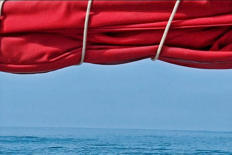 Rencontre avec des dauphins sauvages et plongée en apnée - Ile Maurice.