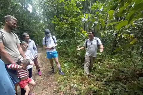 Khao Lak: Santuario degli elefanti di Khao Sok e passeggiata notturna nella giungla