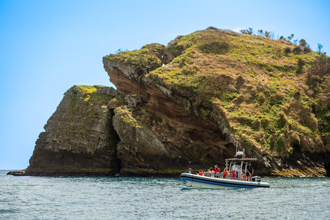 Vila Franca do Campo: Snorkeling & Boat Tour at the Islet