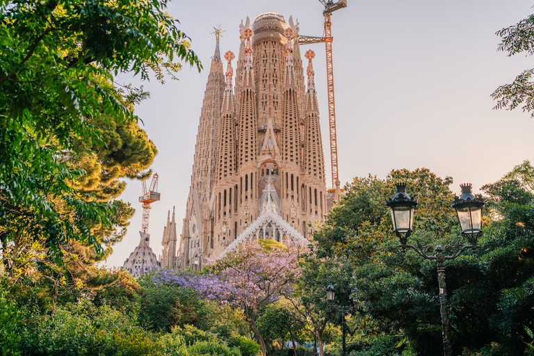 Sagrada Familia Guided Tour with Official Guide Regular Tour