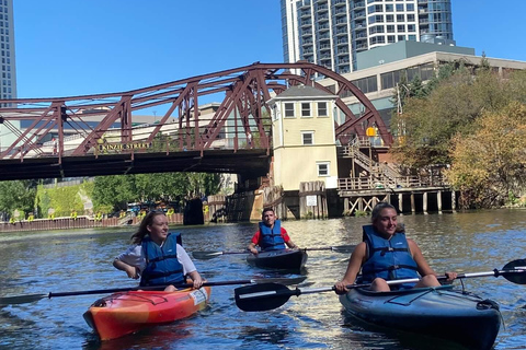 Chicago: History and Architecture Guided Kayak Tour