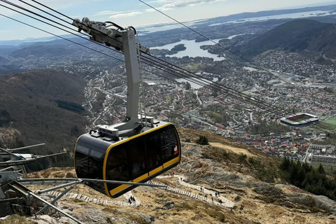Bergen by night: Mount Ulriken & Floyen Cable Car Tour