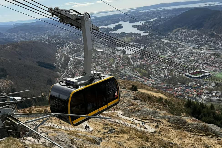 Bergen by night: Mount Ulriken & Floyen Cable Car Tour
