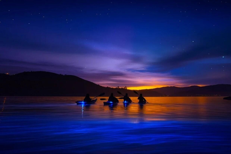 San Francisco: 5-Day California Coast, Vineyards & Wine Tour Double Occupancy Room