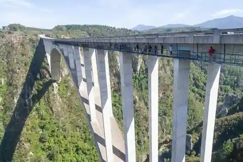 PLETTENBERG BAY: Bloukrans Bridge Skywalk Tour and HangOut