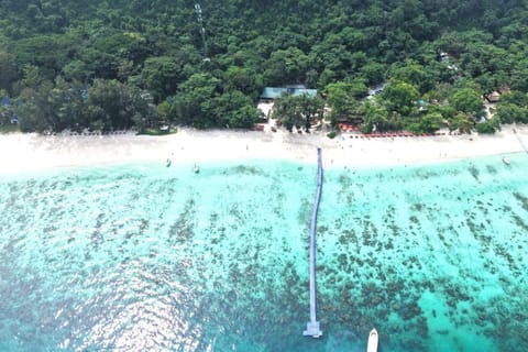 Phuket: Racha and Coral Island Speedboat Tour with Lunch - Image 2