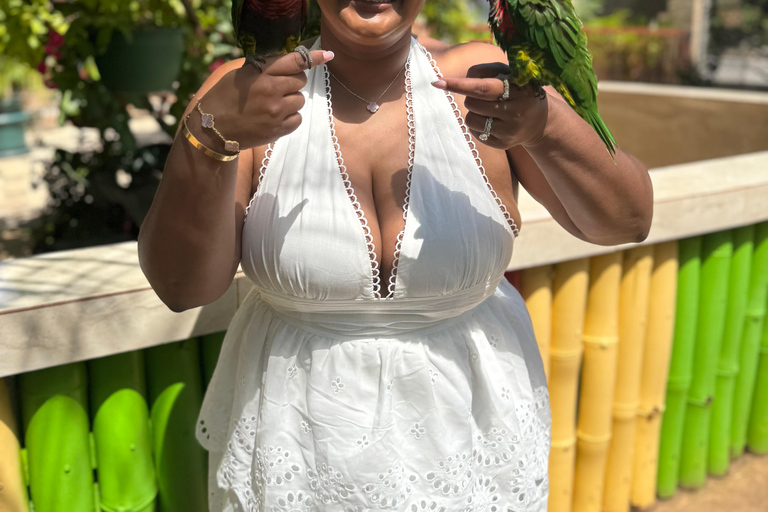 Exotic bird tour and Souvenir Shopping from Montego Bay