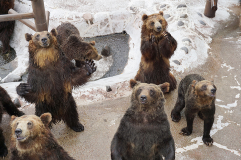 From Sapporo: Noboribetsu & Lake Toya Private Tour