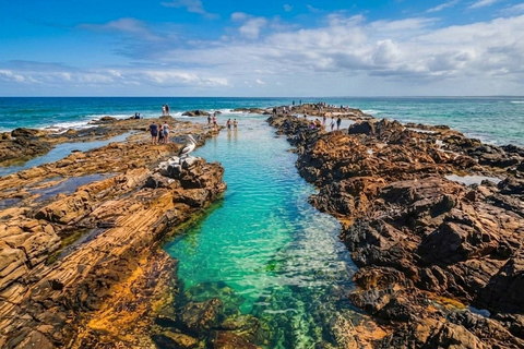 From Brisbane: Private Gold Coast Tour with Meal and Skywalk