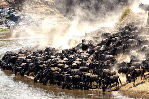 Serengeti : Safari de 5 jours avec traversée de la rivière Mara