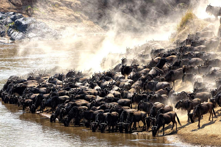 Serengeti: safari di 5 giorni attraverso il fiume Mara