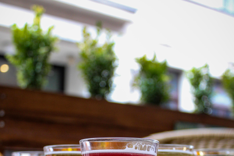Riga: 14 Beers Tasting Experience - Aussie Backpackers Bar