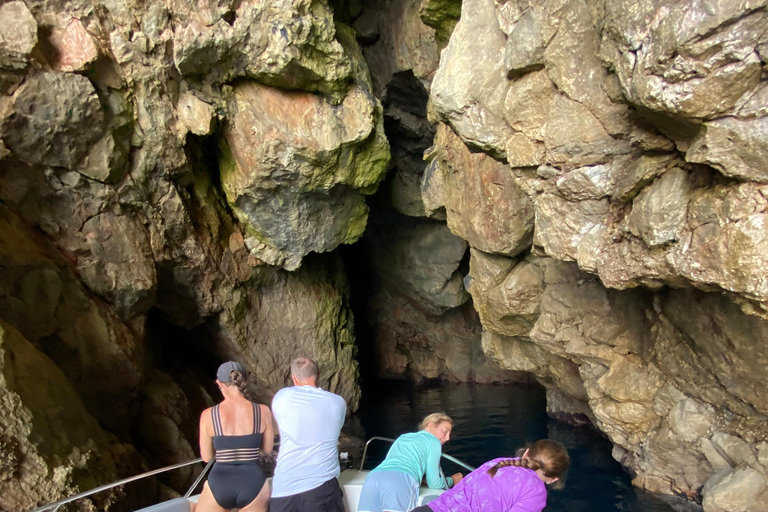 Dubrovnik: Eilandtour met privébootVOLLE DAG (8 uur) Dubrovnik: Eilandtour met privéboot