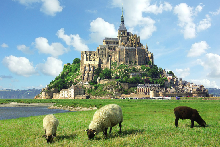 Mont-Saint-Michel privé rondleiding met proeverij vanuit Parijs