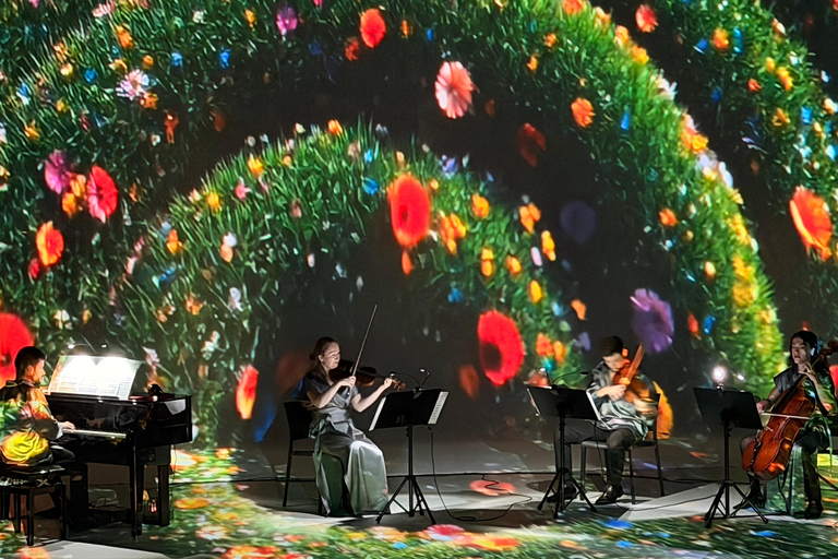 ✨Immersive Light & Music Show in Bilbao by Under The Tree