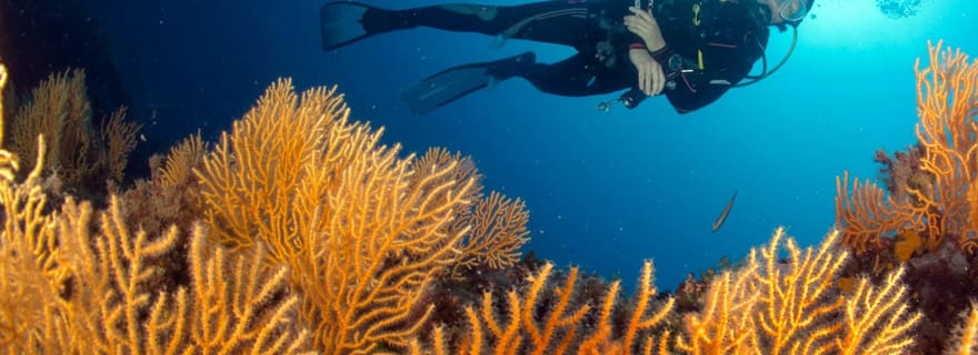 baptême de plongée sous marine