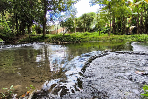 Chiang Mai: Pro Private Driver Service with Custom Itinerary